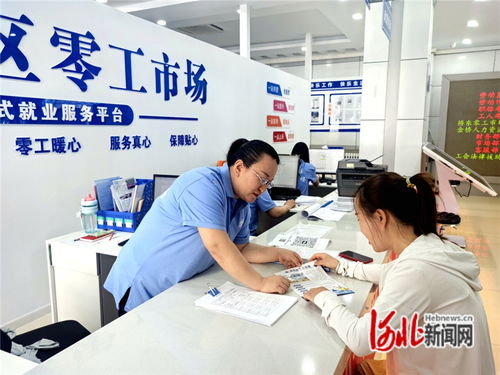 張家口 織密信息服務網，搭建高效供需橋